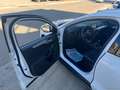 Ford Focus 1.5 EcoBlue 120CV SW Business Wit - thumbnail 14