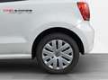 Volkswagen Polo V Life 1.2 TSI Panodach Bi-Xenon SHZ PDC Blanc - thumbnail 7