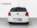 Volkswagen Polo V Life 1.2 TSI Panodach Bi-Xenon SHZ PDC Blanc - thumbnail 5