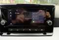 SEAT Ibiza FR SPORTPAKET*1.BESITZ *WENIG KM*SPORTSITZE*KAMERA Grau - thumbnail 33