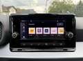 SEAT Ibiza FR SPORTPAKET*1.BESITZ *WENIG KM*SPORTSITZE*KAMERA Grau - thumbnail 24