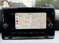 SEAT Ibiza FR SPORTPAKET*1.BESITZ *WENIG KM*SPORTSITZE*KAMERA Grau - thumbnail 31