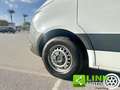Mercedes-Benz Sprinter F37/35 311 CDI RWD TA Furgone GARANZIA 12 MESI Blanc - thumbnail 9