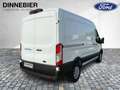 Ford Transit 425 L3 H2 KASTEN LKW TREND 196 kW Navi Weiß - thumbnail 7