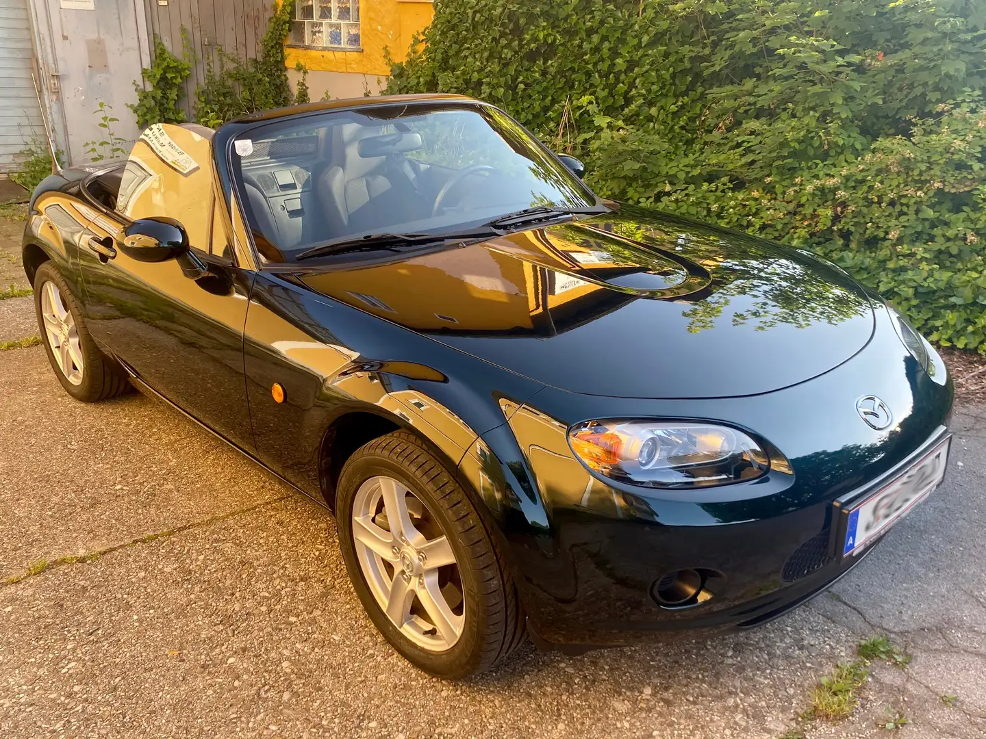 Mazda MX-5 MX-5 1,8i Challenge Challenge Grün - 2