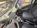 Fiat Panda 1.2 Climbing 4x4 69cv( UNIPRO-GPL ) -RATE-GARANZIA - thumbnail 16