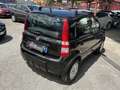 Fiat Panda 1.2 Climbing 4x4 69cv( UNIPRO-GPL ) -RATE-GARANZIA - thumbnail 7