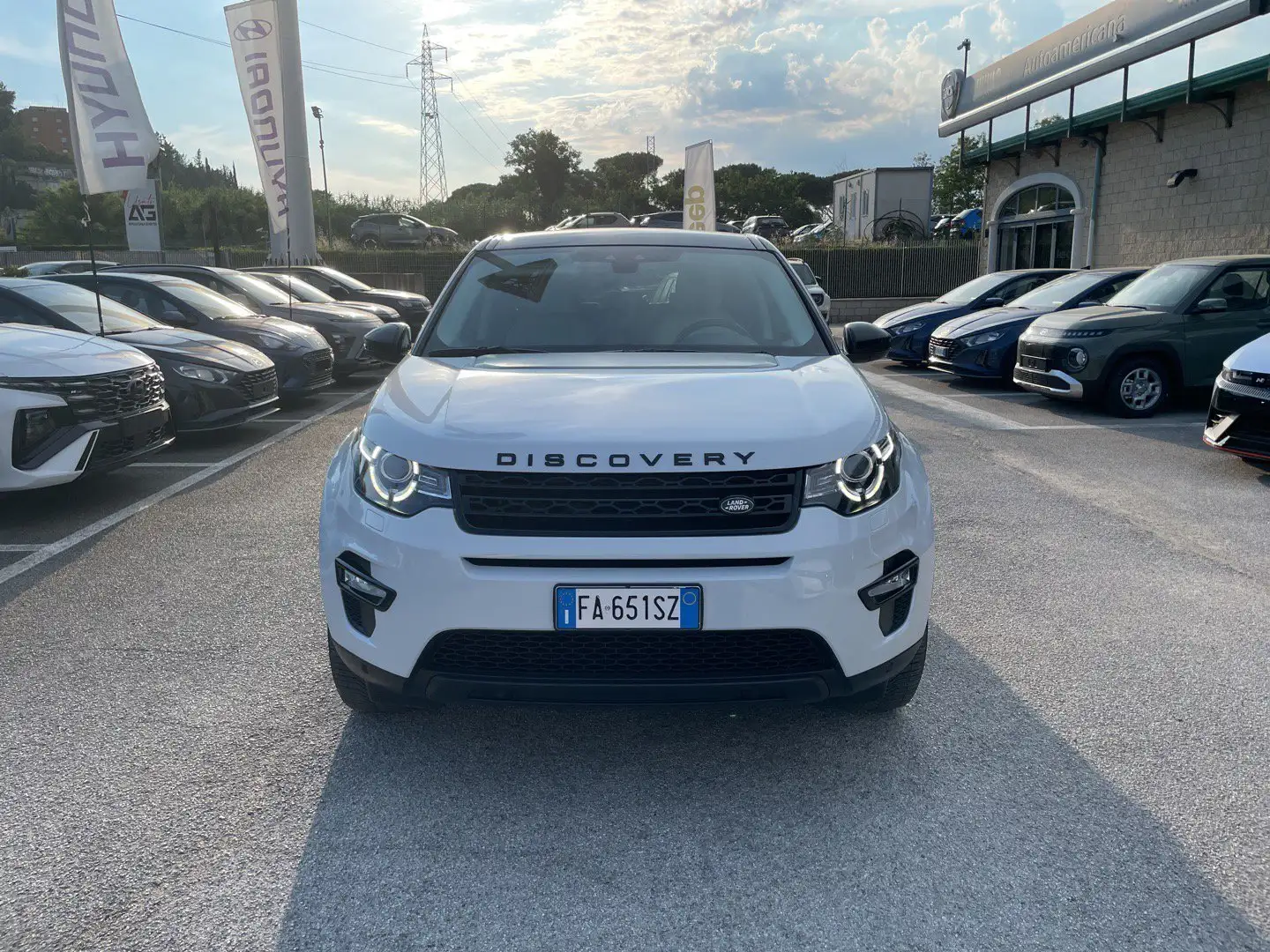 Land Rover Discovery Sport Discovery Sport 2.0 TD4 180 CV HSE Luxury AUTO Bianco - 2