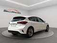 Ford Focus 1.5 Ecoblue Trend+ 120 Blanco - thumbnail 6