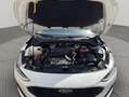 Ford Focus 1.5 Ecoblue Trend+ 120 Blanco - thumbnail 22