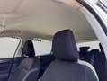 Ford Focus 1.5 Ecoblue Trend+ 120 Blanco - thumbnail 9