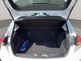 Ford Focus 1.5 Ecoblue Trend+ 120 Blanco - thumbnail 21