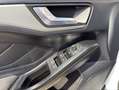 Ford Focus 1.5 Ecoblue Trend+ 120 Blanco - thumbnail 19