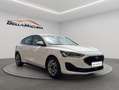 Ford Focus 1.5 Ecoblue Trend+ 120 Blanco - thumbnail 8