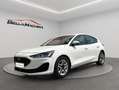 Ford Focus 1.5 Ecoblue Trend+ 120 Blanco - thumbnail 1