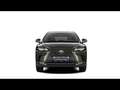 Lexus RX 450h Privilege Line + 360° camera+s Verde - thumbnail 2