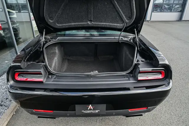Dodge Challenger view 9