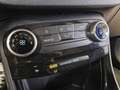 Ford Puma 1.5 Eco 120CV Titanium 'FORMULA FINANZIAMENTO' Blu/Azzurro - thumbnail 10