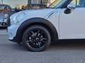 MINI Cooper Countryman Mini Cooper D Business Countryman Autom. Bianco - thumbnail 5