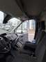 Ford Transit Bus Minibus 2,2 TDCi L3H2 350 Trend Білий - thumbnail 6