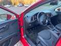 SEAT Leon 5p 2.0 tdi cr FR s&s 150cv Rosso - thumbnail 4