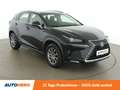 Lexus NX 300h NX 300h E-Four Business Line Negro - thumbnail 8