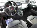 Fiat 500 1.0 hybrid Connect 70cv IVA DEDUCIBILE PREZZO VERO Wit - thumbnail 10
