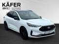 Ford Kuga 2,5 Duratec FHEV ST-Line X Allrad Aut. Black Pa... Weiß - thumbnail 3