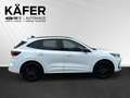 Ford Kuga 2,5 Duratec FHEV ST-Line X Allrad Aut. Black Pa... Weiß - thumbnail 5