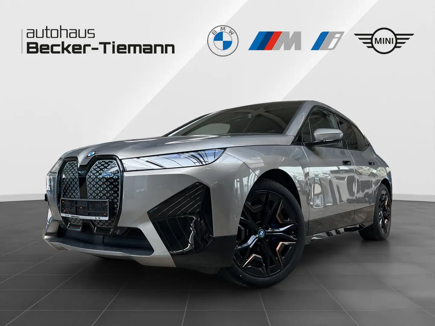 BMW iX xDrive40  Edition Excellence/Sportpaket/Clear&Bold Grijs - 1