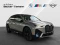 BMW iX xDrive40  Edition Excellence/Sportpaket/Clear&Bold Gris - thumbnail 7