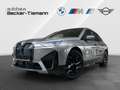 BMW iX xDrive40  Edition Excellence/Sportpaket/Clear&Bold Gris - thumbnail 1