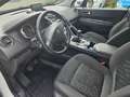 Peugeot 3008 Active, 8-fach bereift Weiß - thumbnail 9