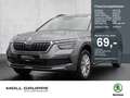 Skoda Kamiq 1.0 TSI Ambition LED FLA W-PAKET PDC Grau - thumbnail 1