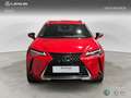 Lexus UX 200 SUV BUSINESS 2.0 Híbrido Gasolina Transmisión Au Rosso - thumbnail 5