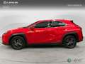 Lexus UX 200 SUV BUSINESS 2.0 Híbrido Gasolina Transmisión Au Rosso - thumbnail 3