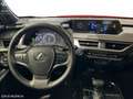 Lexus UX 200 SUV BUSINESS 2.0 Híbrido Gasolina Transmisión Au Rosso - thumbnail 9