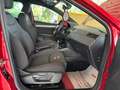 SEAT Ibiza FR+LED+Sportsitze+Drive Profile* Rot - thumbnail 17