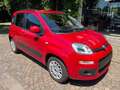 Fiat Panda 1.2 Benzina Neopatentati Rosso - thumbnail 3