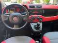 Fiat Panda 1.2 Benzina Neopatentati Rosso - thumbnail 5