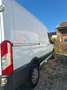 Ford Transit Transit Variobus 2,0 TDCI L2H2 350 Trend Trend Weiß - thumbnail 4