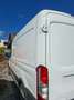 Ford Transit Transit Variobus 2,0 TDCI L2H2 350 Trend Trend Weiß - thumbnail 2
