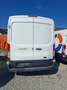 Ford Transit Transit Variobus 2,0 TDCI L2H2 350 Trend Trend Weiß - thumbnail 3