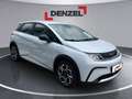 BYD Dolphin Comfort MY2025 Weiß - thumbnail 6
