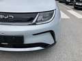 BYD Dolphin Comfort MY2025 Weiß - thumbnail 7