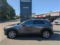 Mazda CX-30 Selection HUD Navi Bose 360 Kamera LED Blendfreies Gris - thumbnail 3