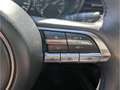Mazda CX-30 Selection HUD Navi Bose 360 Kamera LED Blendfreies Gris - thumbnail 10