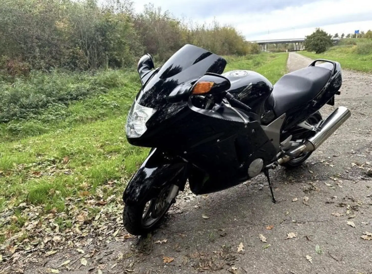 Honda CBR 1100 Super blackbird (Injection) 164 PK’s 2001 - 1