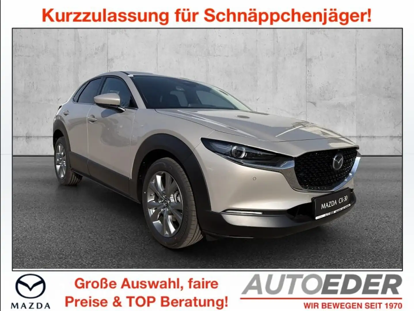 Mazda CX-30 e-Skyactive G140 Takumi - 1