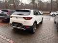 Kia Stonic DCT Vision Weiß - thumbnail 6